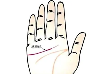 手相算命:怎么从手相感情线看感情吉凶