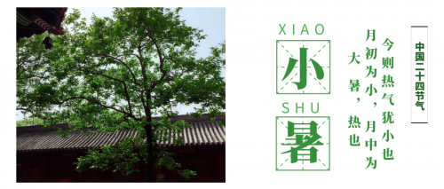 大曼紫微斗数月运:7月6(小暑)至8月7(立秋)